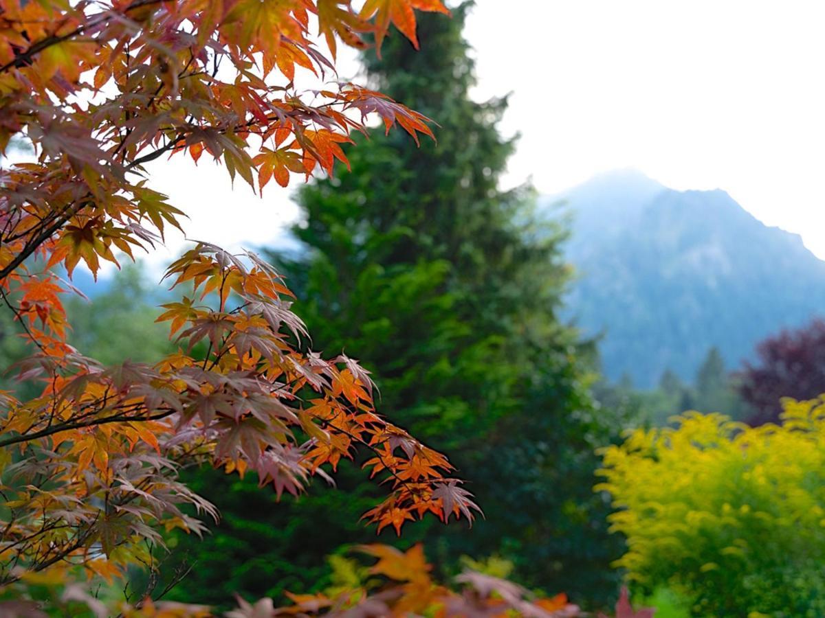 Hubertus Apartments Schliersee Kültér fotó